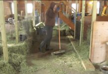 50-year-old Farmer Dancing In His Barn To Sia’s ‘Cheap Thrills’ Is Exactly What You Need Right Now