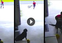 Security Cam Catches Little Boy Sneaking into Garage to Steal Quick Hug from a Dog