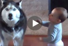 Mom Caught Her Baby Talking To The Dog. Their Conversation? Unbelievable.