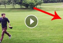 This Fox Stole His Golf Bag. Now Watch What This Man Does To Get It Back! Hilarious!
