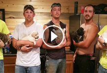 They Went To A Cabin To Celebrate Friend’s Bachelor Party. What They Ended Up Doing Instead? OMG