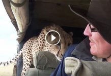 Man Turns His Head Around. But What He Sees? Whoa, My Heart Almost Stopped!