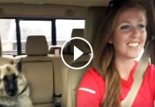 Mom Was Driving Down The Road With Her Dog In The Backseat. When THIS Song Came On? ROFL!