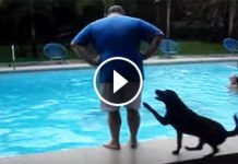 He Was Standing Right On The Edge Of That Pool. But Watch When That Dog Comes Running From Behind