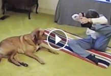 She Tries A Difficult Yoga Pose. But Wait Till You See What Her Dog Did Next! Lol!