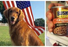 The Dog Who Played Duke In Bush’s Baked Beans Commercials Has Died