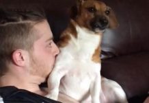 Puppy Hilariously Unsure How to React to Owner Blowing Raspberries