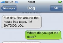 Texts From My Dog