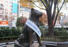 Rare Photo Surfaces Of Hachiko, The World’s Most Loyal Dog