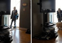 Little Boy Is Heartbroken When His Dog Went Missing. Moment He Meets Him Again Makes The Entire Internet Cry