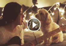 She Starts Singing A Christmas Song. Her Dog’s Reaction? This Is Unbelievable!