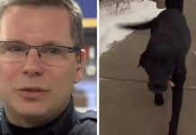 Distressed Dog Begs Cop To Follow Him – A Quick Look At A House’s Balcony Makes Both Of Them Heroes