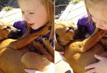 Little Girl Cradles Newly-adopted Puppy And Sings Him Lullaby – Now Watch His Reaction