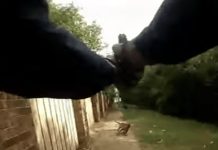 Police Officer Accidentally Kills Woman While Trying To Shoot Dog