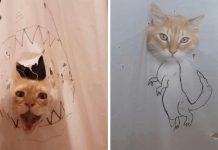 Woman Creates A New Drawing Every Time Her Cat Destroys A Shower Curtain