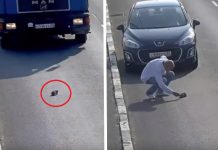 Camera Catches Horrifying Footage Of Drivers Ignoring Kitten Stranded On Highway, But Then Someone Stops