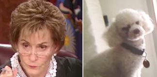 Two People Fight Over A Dog In Judge Judy’s Court— Now Watch When She Asks For The Dog To Be Let Loose