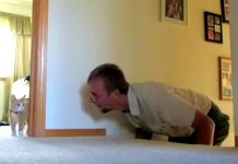 He Starts Playing Hide & Seek With His New Kitten. The Moment She Pops Out Has Everyone In Hysterics