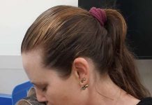 Cat Who Survived Wildfire Never Thought He’d See His Mom Again