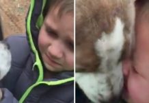 Little Boy Searches For Missing Dog For 8 Months. The Moment He Sees Him Again Will Drive You To Tears