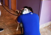 Man Reunites With Lost Dog After 4 Long Years