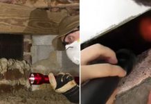 Two Men Hear Whimpering Cries From Crawlspace—When They Peek Inside, They See 2 Eyes Staring Back