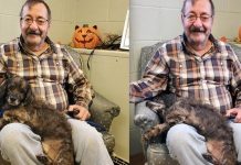 Man Asks Shelter To See Old Dog To Adopt, Dog’s Reaction Couldn’t Be Sweeter