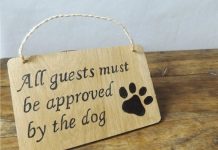 19 Funny Dog Signs That Will Make Every Dog Lover Smile