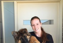 Couple’s Cute Chronicle Of Their Dog Growing Over 6 Months Goes Viral