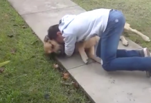 Mom Calls Son Outside, But Then He Sees Beloved Dog He Lost 8 Months Ago And Completely Loses It