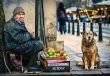 29 Beautiful Photos That Capture The Lives Of Dogs Around The World
