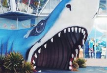 25 Photos Of A Dog Hiding In Plain Sight Are Seriously Clever