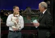 Dad Tells Dog To “Play Dead” On Late Night Letterman Show – Host And Audience Can’t Stop Cracking Up