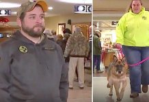 Army Veteran Is Devastated After Being Separated From K9 Partner. 1 Year Later, He Calls Her Name To See If She Remembers