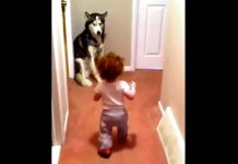 Toddler Is Scared Of Vaccum’s Loud Noise – Melts Thousands Hearts When She Sprints Straight Towards Her ‘Protector’