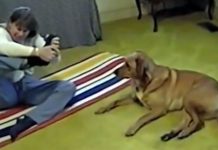 Girl Struggles To Try Out A New Yoga Pose. Now Watch The Dog Show Her How It’s Done
