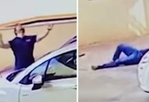 Tiny Dog Slipped From 9th-floor Balcony And Started Falling – Then Camera Catches Terrifying Moment Passerby Trying To Catch It