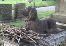 A Dog Who Died 100 Years Ago Still Receiving Stick Gifts On His Monument