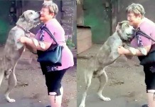 Mom In Tears When Finding Her Dog Starving After Being Stolen 2 Years Ago