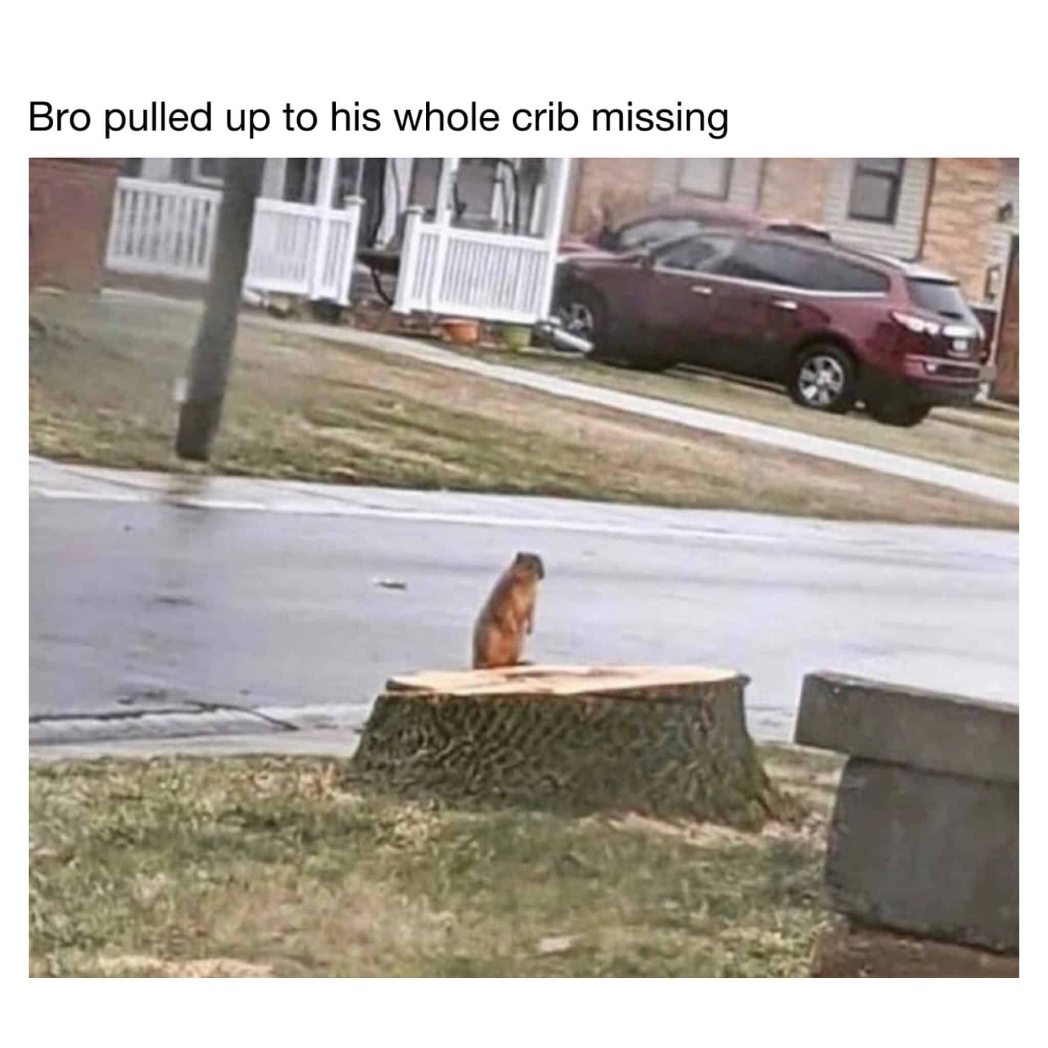 #2 When you get home and your address is gone 😭