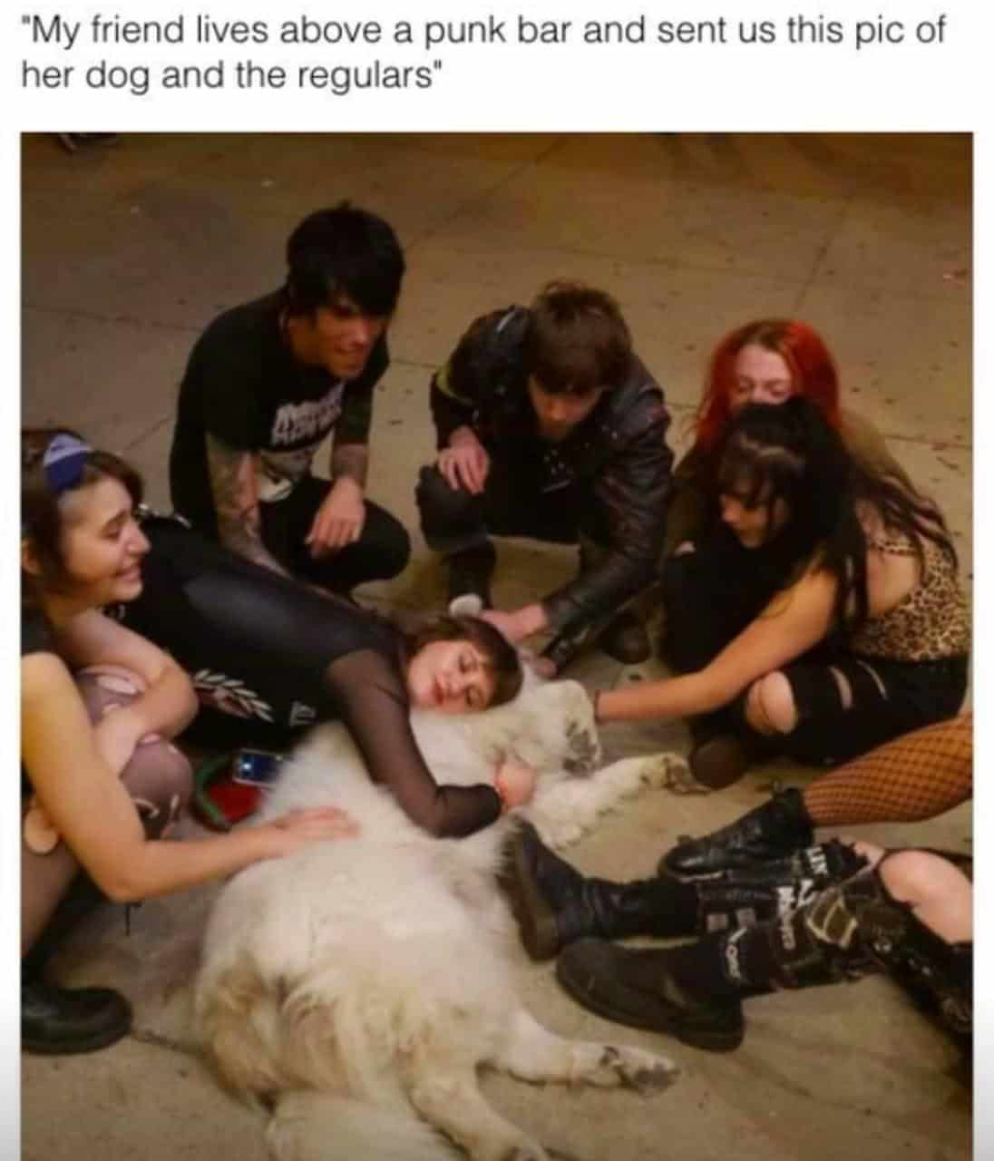 #7 Such Stuff Keep My Faith In Humanity