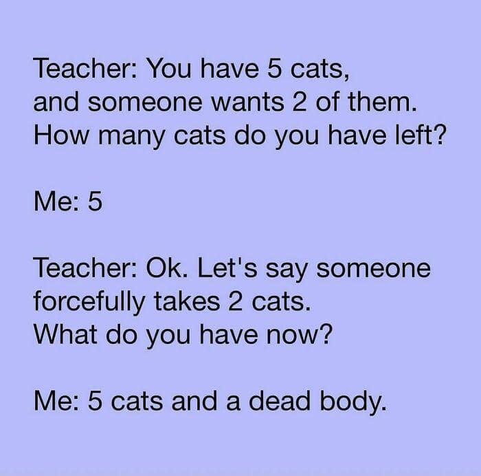 #8 When cat logic takes over the entire room