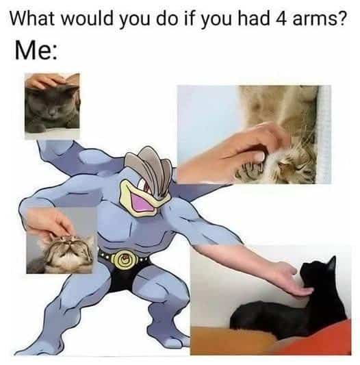 #9 The Problem Is I Have 6 Cats And Wish I Could Also Use My Feet