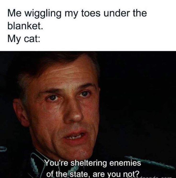 #13 My Toes Are Never Safe