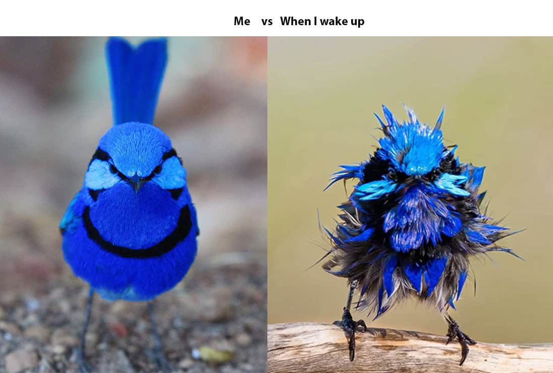 #15 Me Vs When I Wake Up