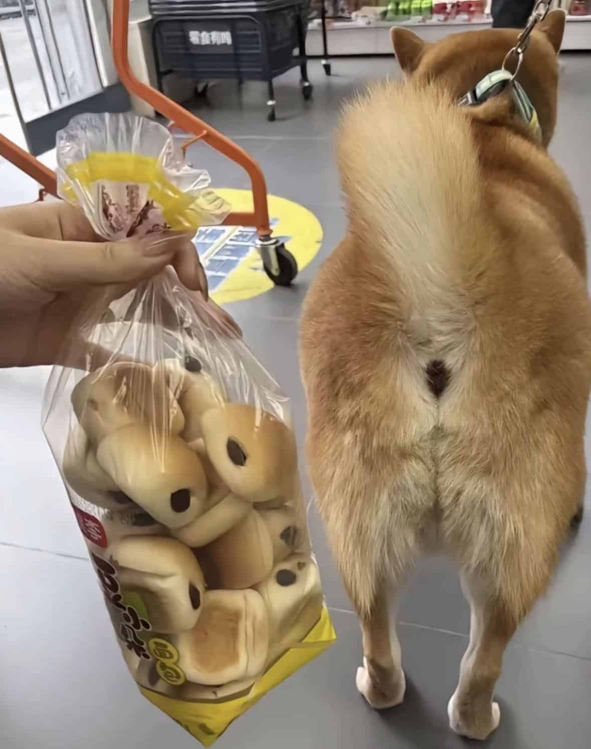 #25 Lost My Appetite 🤣