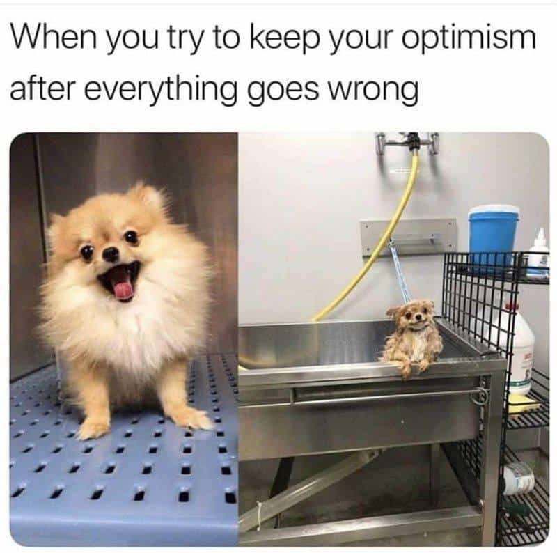 #1 Me 5 Minutes After Saying "It Can't Get Any Worse"