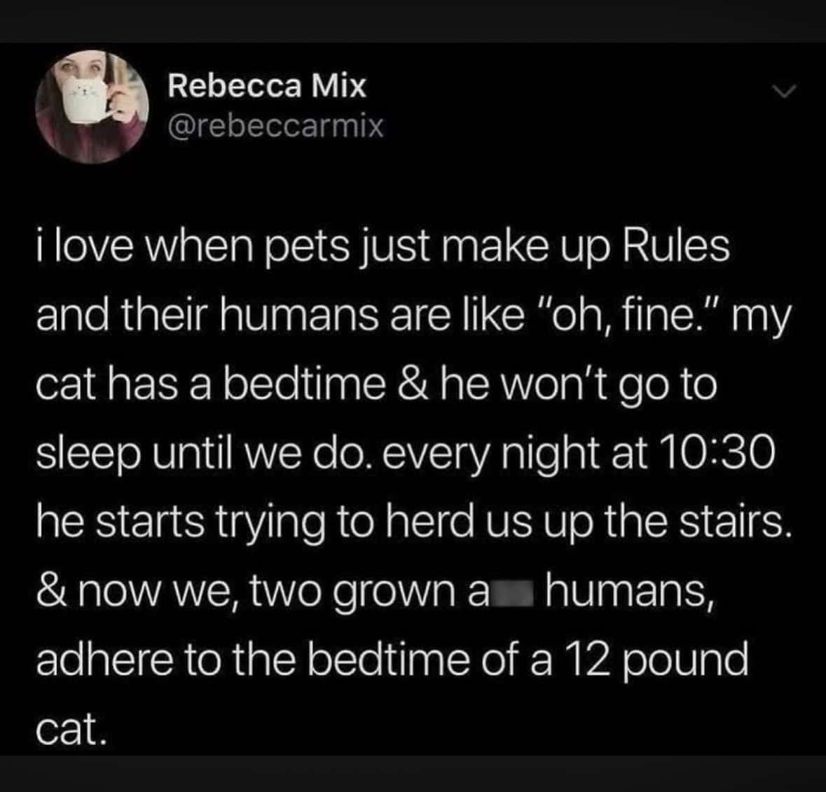 #7 When the cat finds the best spot and refuses to move
