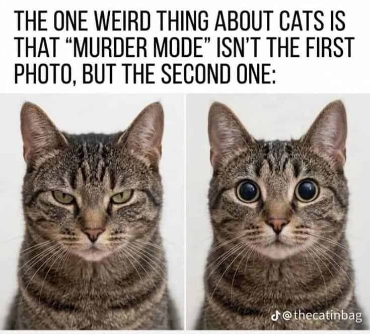 #11 Don't Be Fooled
