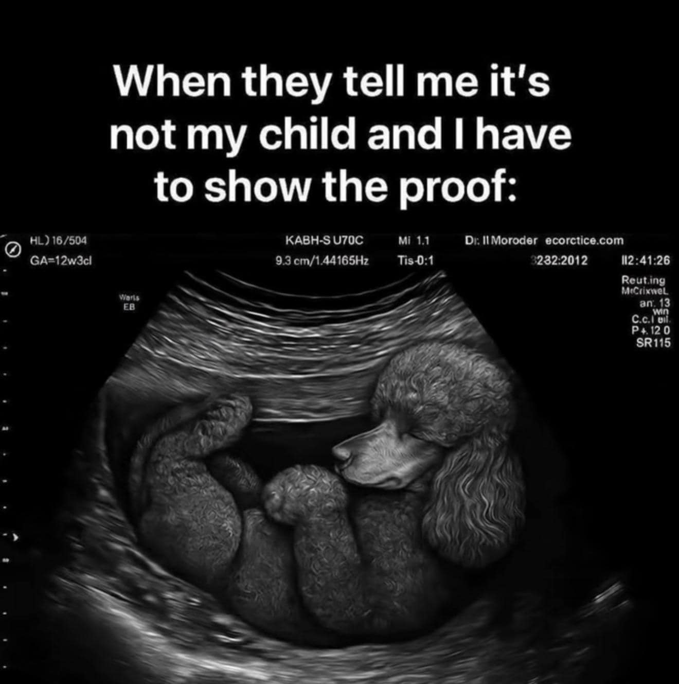 #13 That's My Kid And I'm Sticking To It